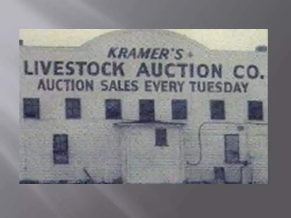 Historic Auction House Re-Opens with New Owner