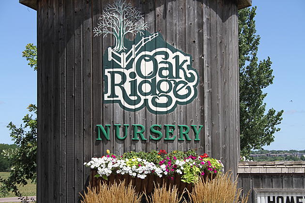 Oak Ridge Nursery and Landscaping is the Place for a Little Outdoor Inspiration
