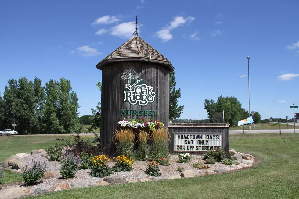 Fall Harvest Festival At Oakridge Nursery