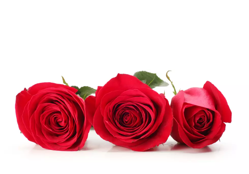 Happy Red Rose Day – Be Careful When Giving One Away Though