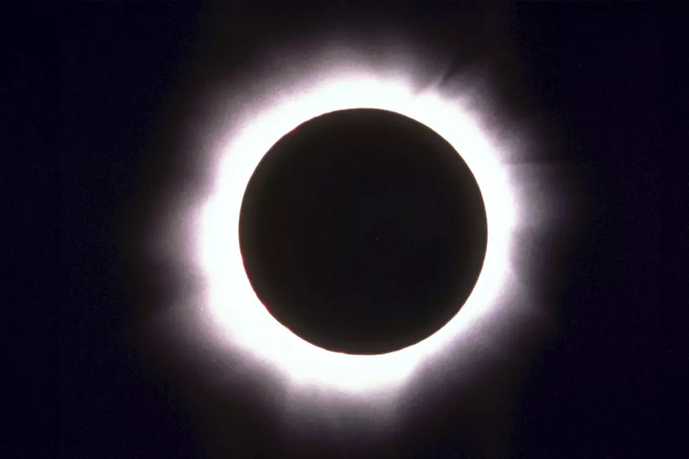 Surviving the Eclipse If You’re in Your Car