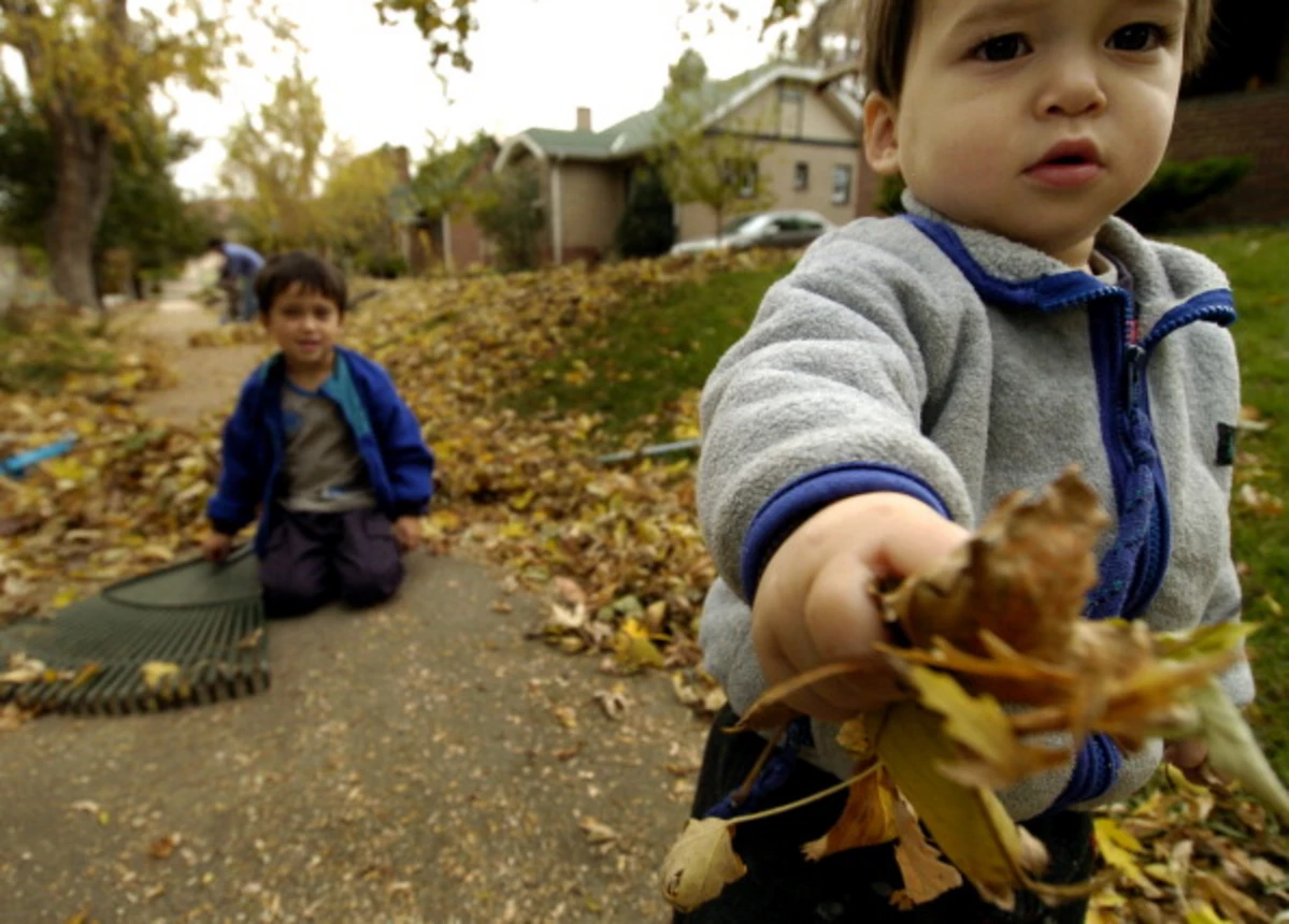 Leaf Drop Off Sites Are Open In Sioux Falls