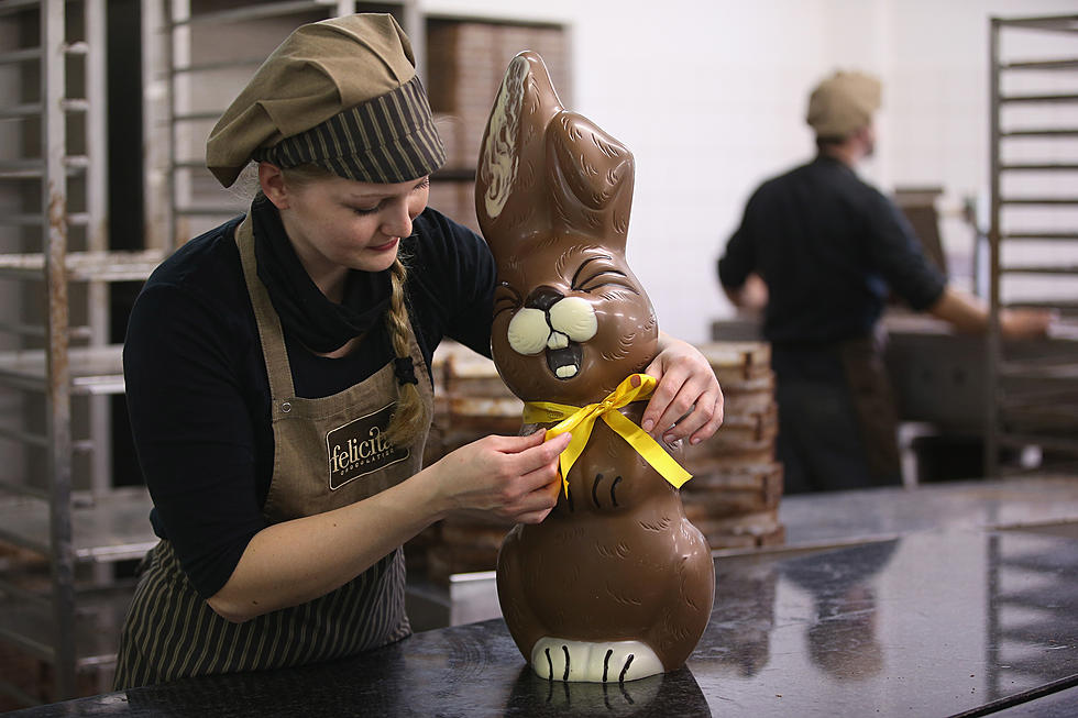 Not All Chocolate Easter Bunnies Are Created Equal