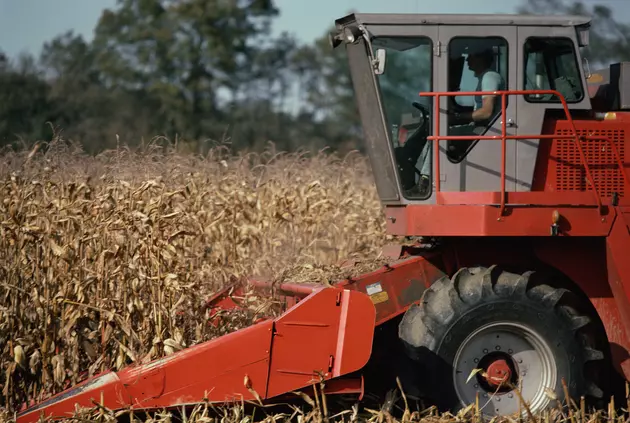 Lawmakers in Washington Urged to Address the Farmer Suicide Crisis