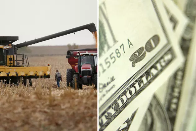 Report: Weak Farm Economy Leading to Fewer Farm Loans