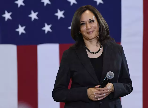 Decision 2020: Kamala Harris Lands Diverse Endorsements in South Carolina