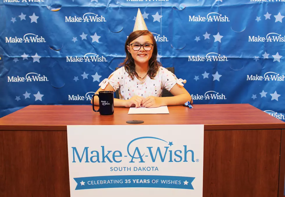 Make-A-Wish Record Breaking Year