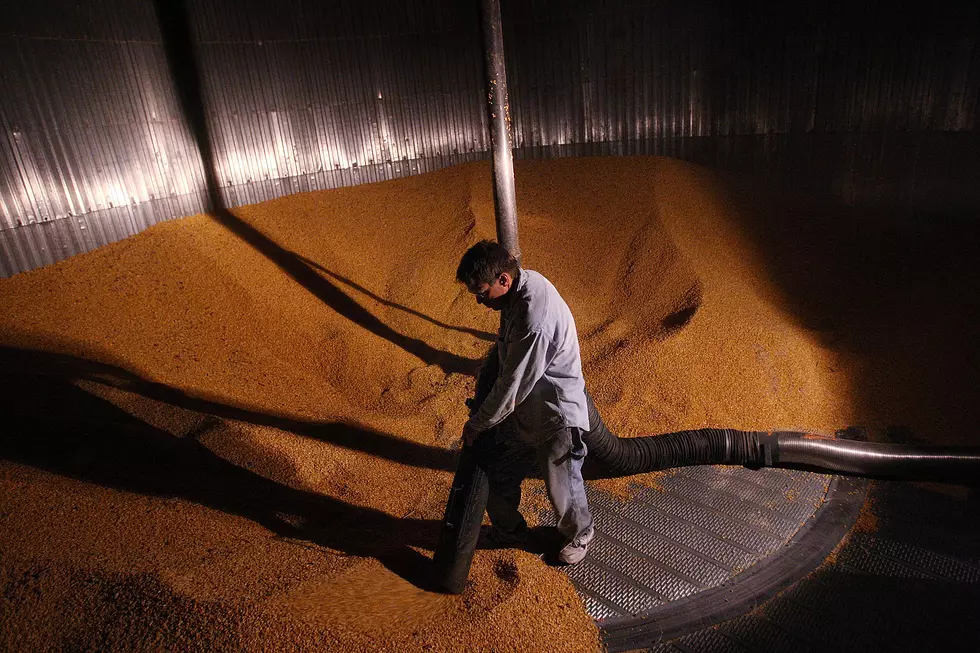Grain Bin Fatality near Elkton, South Dakota
