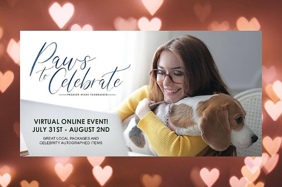 Sioux Falls Humane Society Paws to Celebrate Goes Virtual
