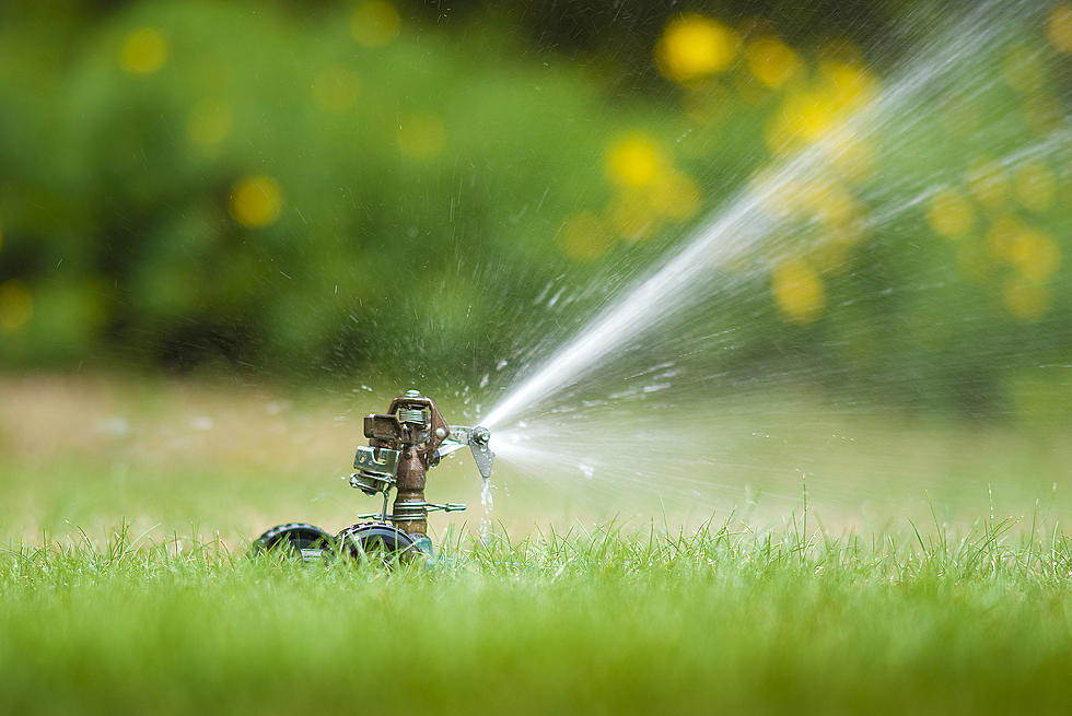How Dry is Your South Dakota Yard and Garden?
