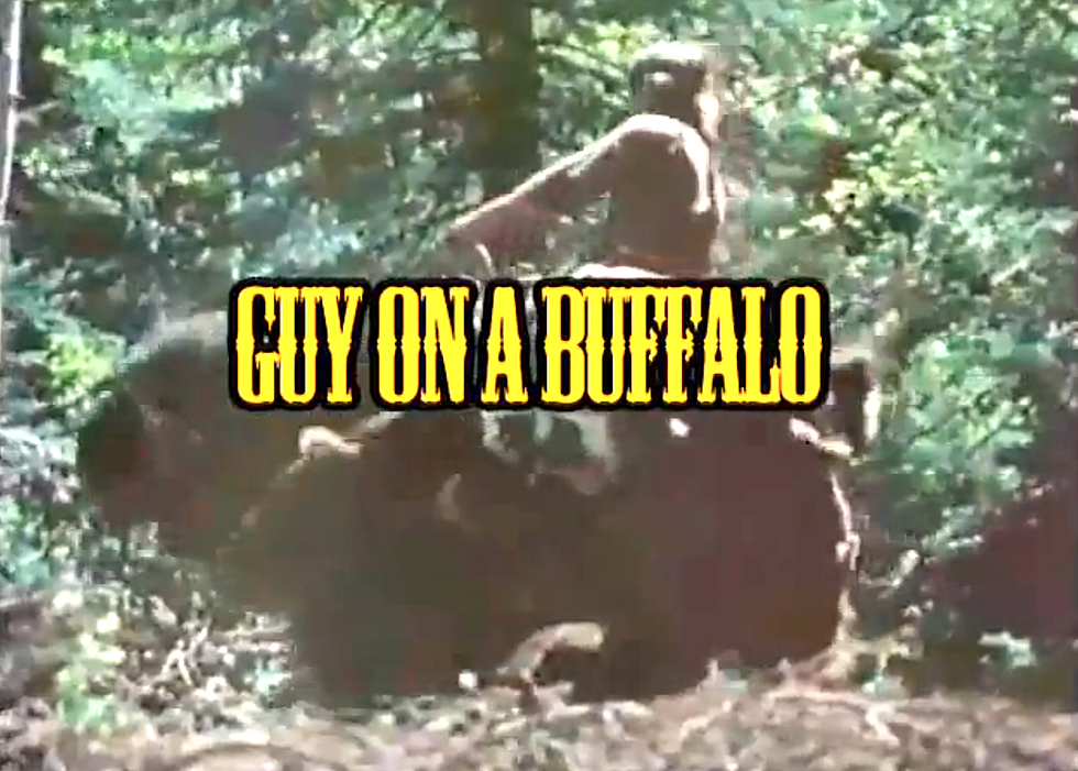 Guy On  A Buffalo Saturday Night [VIDEO]