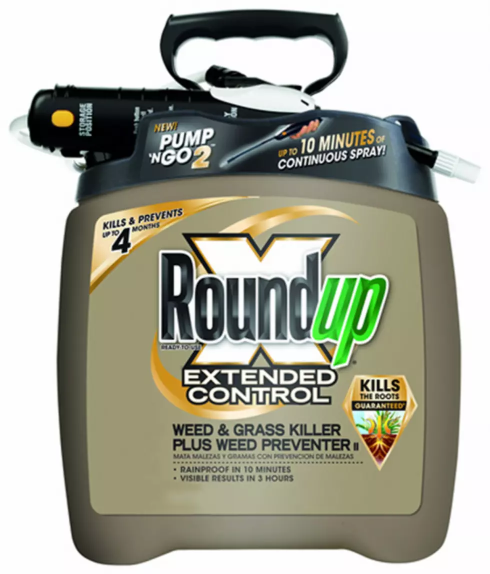 Roundup Could Be Killing Us