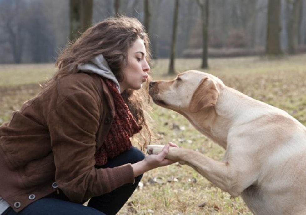 One in Ten Women Love Their Pet More Than Their Mate