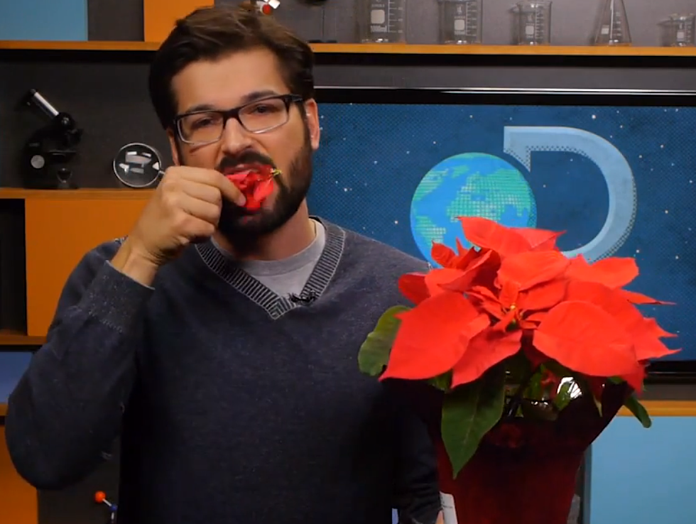 5 Holiday Myths You Believe [VIDEO]