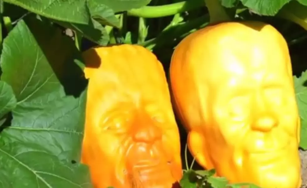 This Is How You Grow A Frankenstein Monster Pumpkin