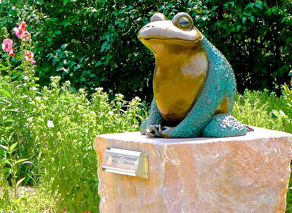 5 Things You Probably Didn’t Know About the Outdoor Campus Frog