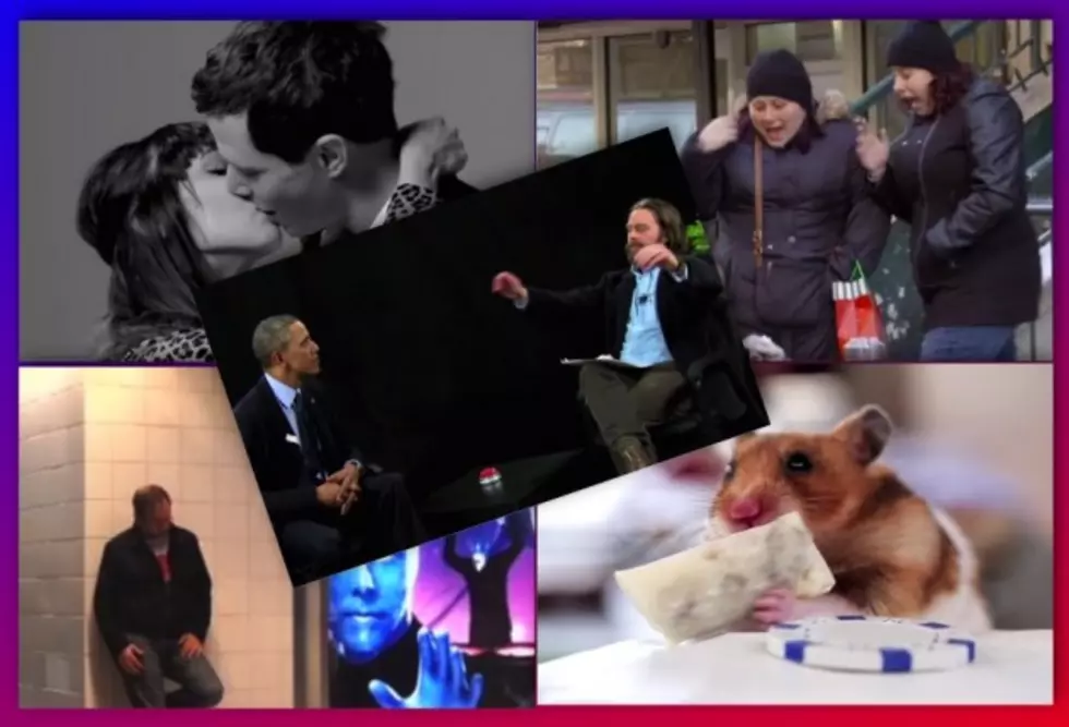 See The &#8216;Top-5 Viral Videos of 2014&#8242;