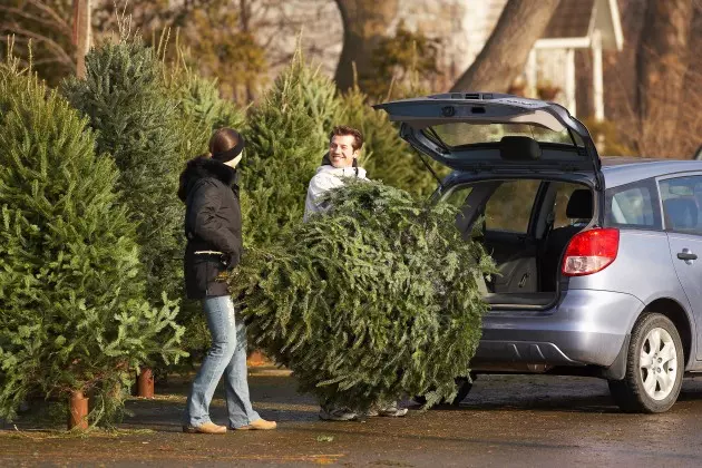 Sioux Falls Christmas Tree Drop-Off Locations