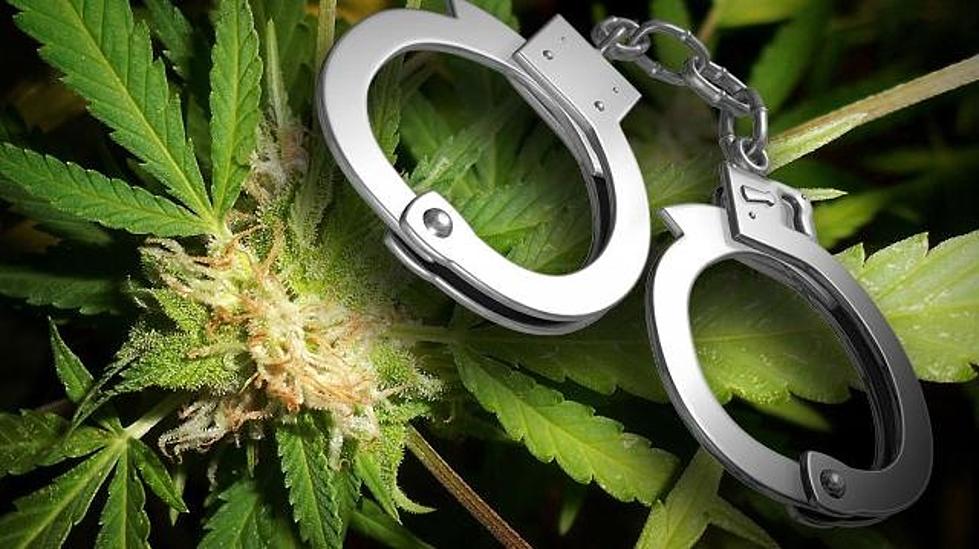 Busted! South Dakota Man in Jail after Authorities Find 55 Marijuana Plants