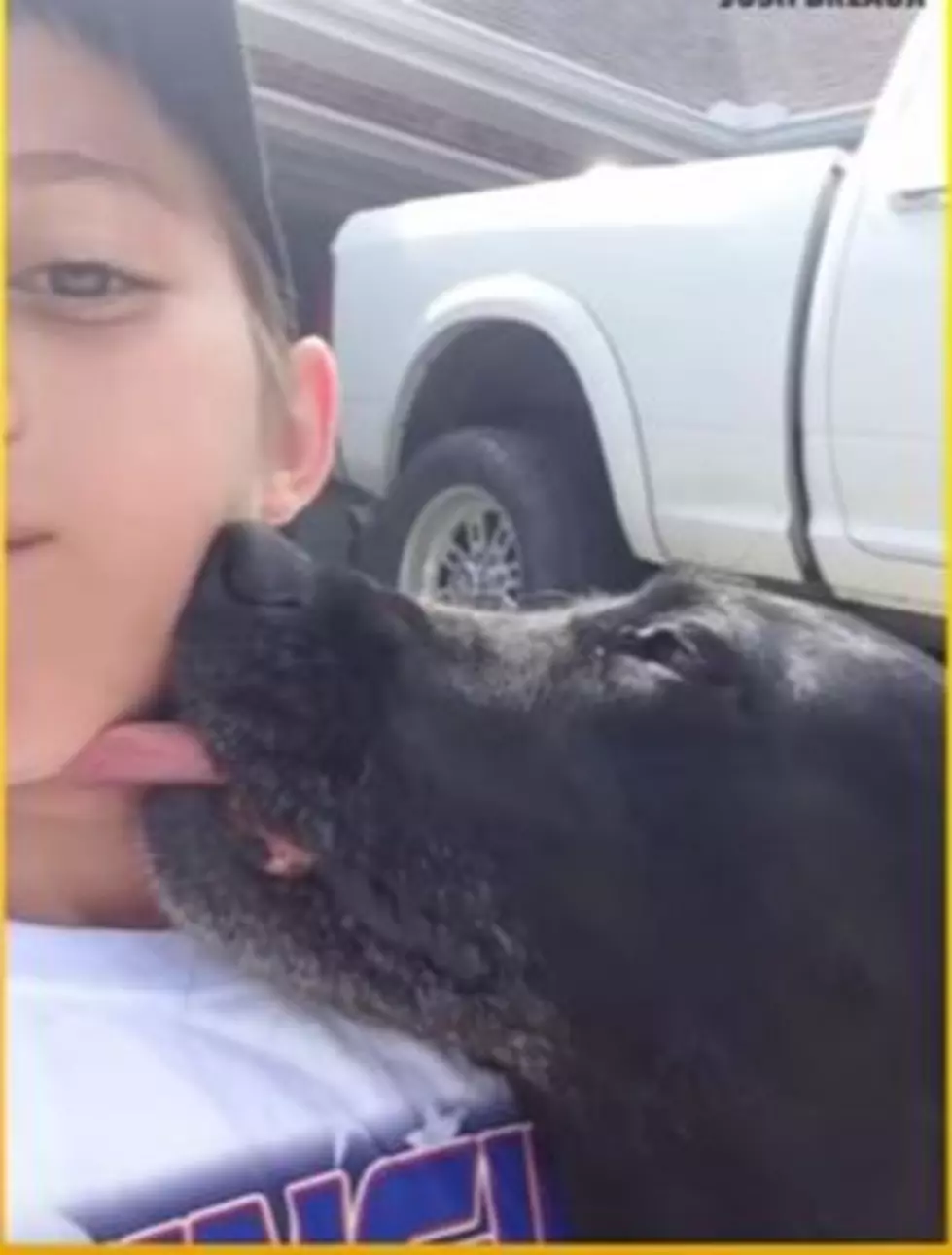 Boy Meets Dog, Dog Loves Boy, Dog&#8217;s Owner Okay With It