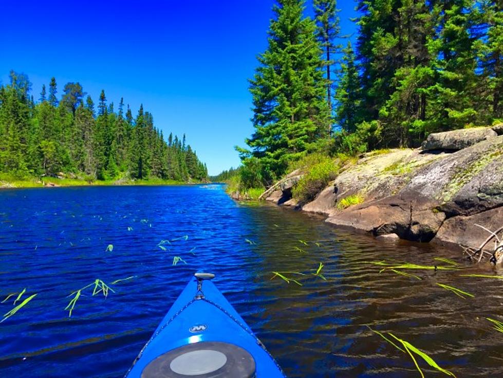 Video of Moose While Kayaking Boundary Water Canoe Area