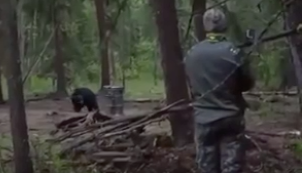 Man Puts GoPro On Spear, Kills Bear. Why? [GRAPHIC VIDEO]