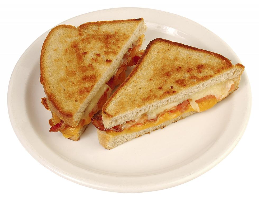 Best SD Grilled Cheese Sandwich