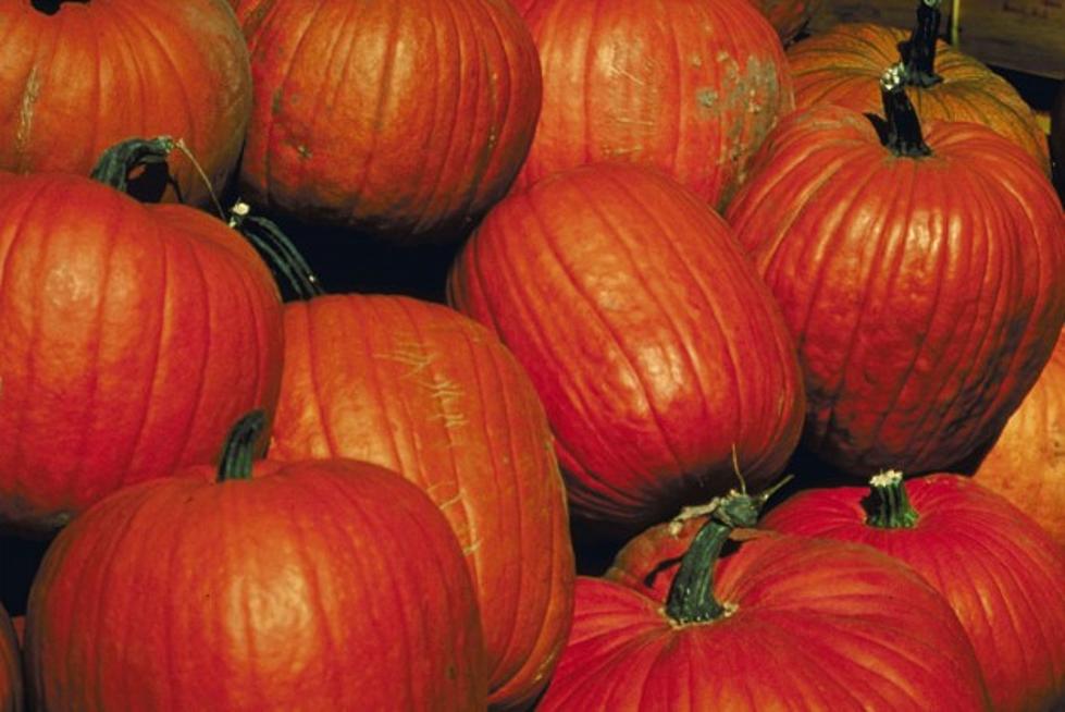 Halloween Heads Up: Trick-Or-Treating at Teal Pumpkin Houses  