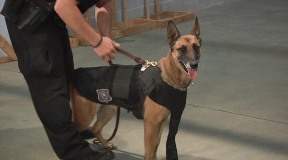 Sioux Falls &#8216;K9 Cops&#8217; to Get New Body Armor