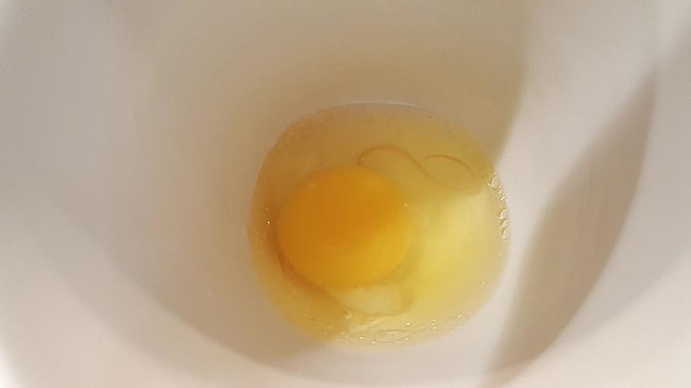 Is There a Worm in my Eggs?