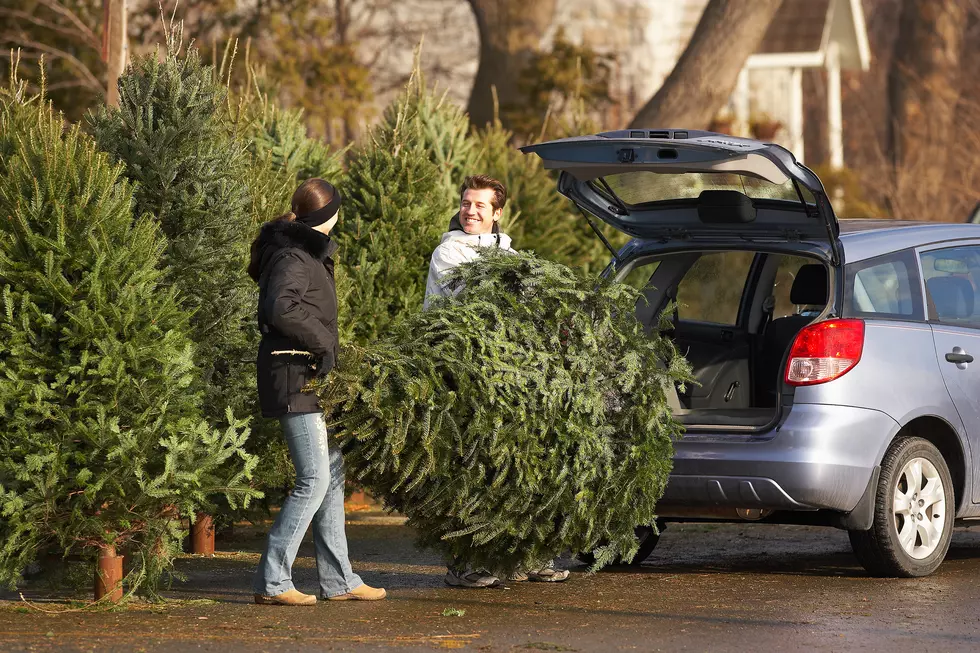 How to Keep Your Christmas Tree Fresher Longer