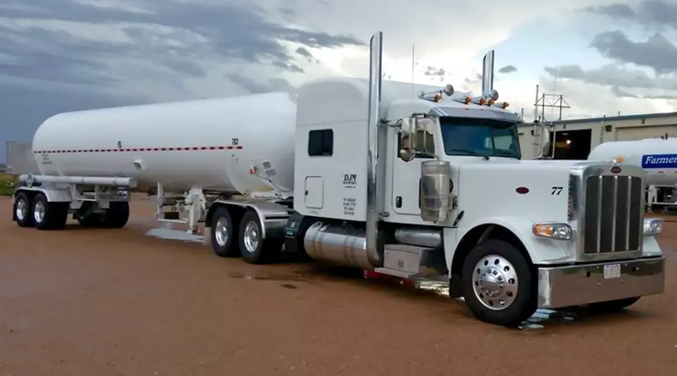 Minnesota Cat Survives 400 Mile Ride Under Semi