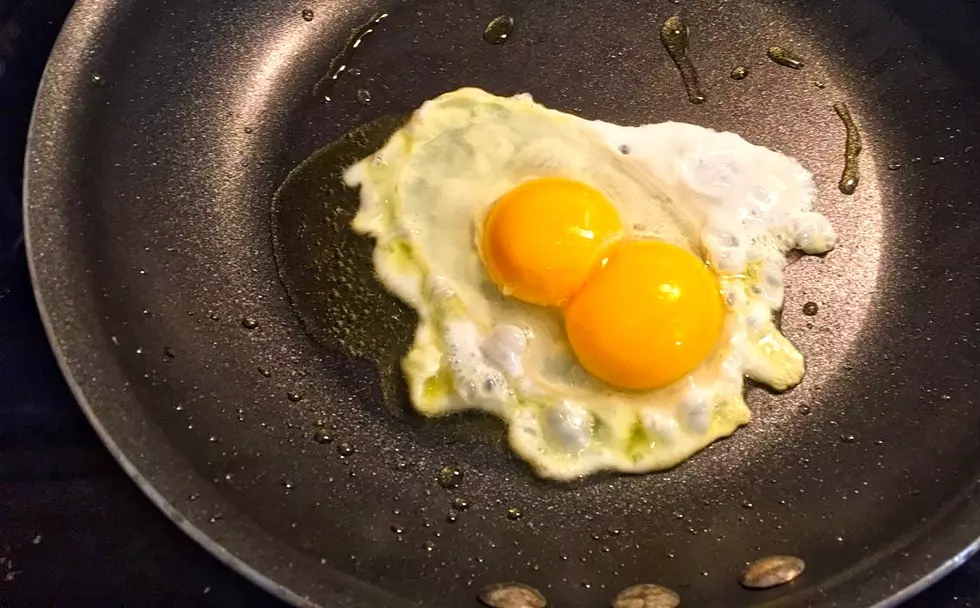 Double Yolk Meaning?