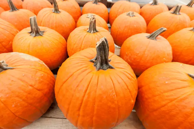 9 Examples That This Pumpkin Spice Thing is Out of Control