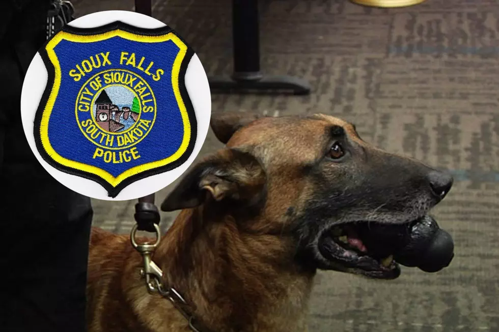 Max, the K-9 Cop Retires from the Sioux Falls PD
