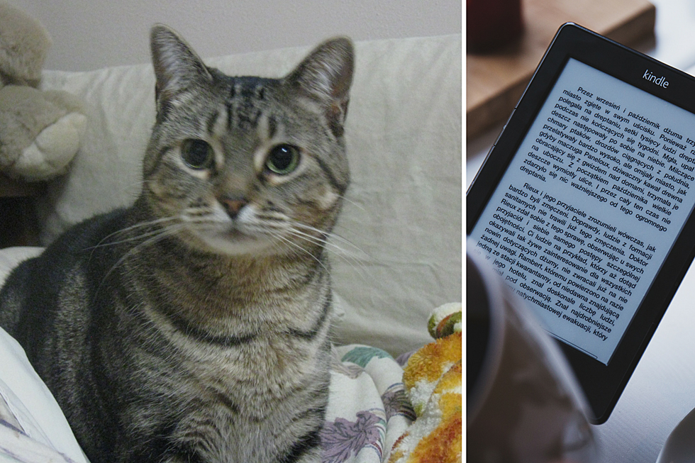 Celebrate National Pet Month. Catch Your Pet 'Reading'