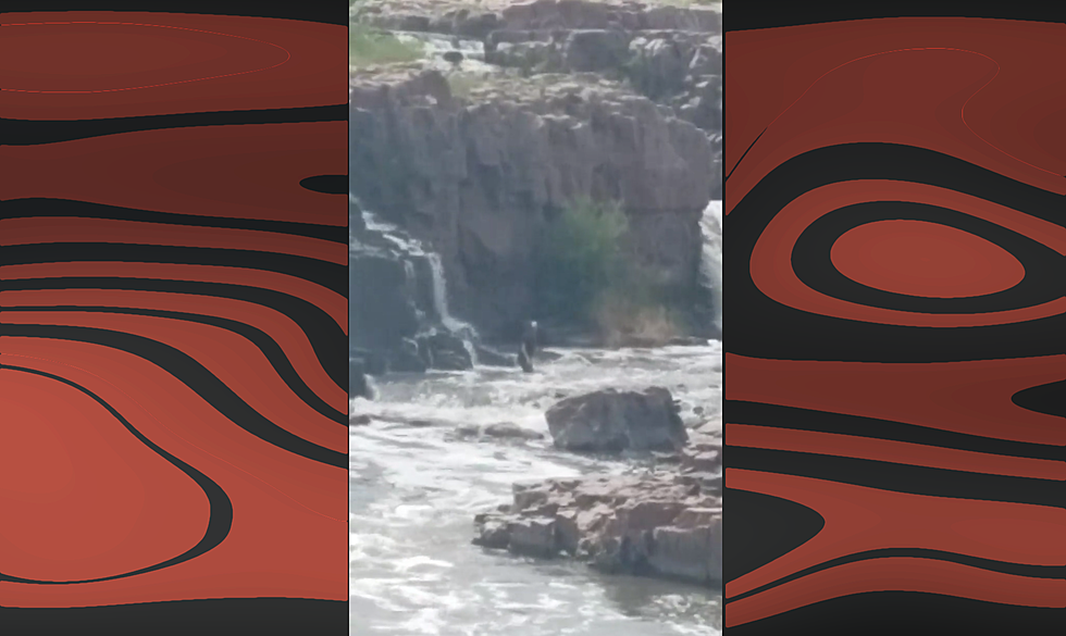 Does Falls Park in Sioux Falls Need More Signs or Smarter People?