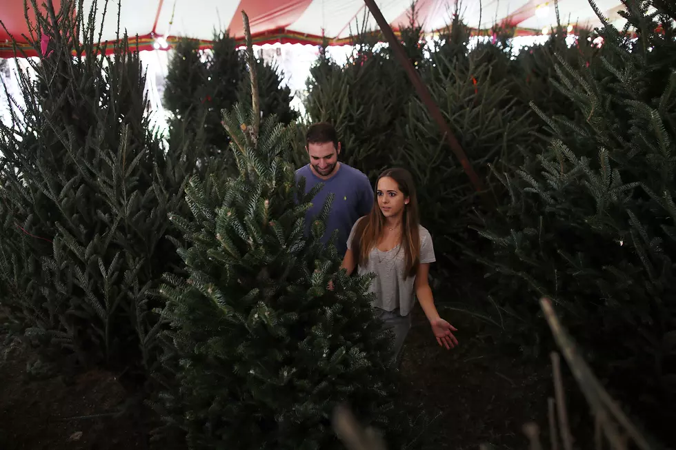 Want A Fresh Cut Christmas Tree Delivered From Amazon?