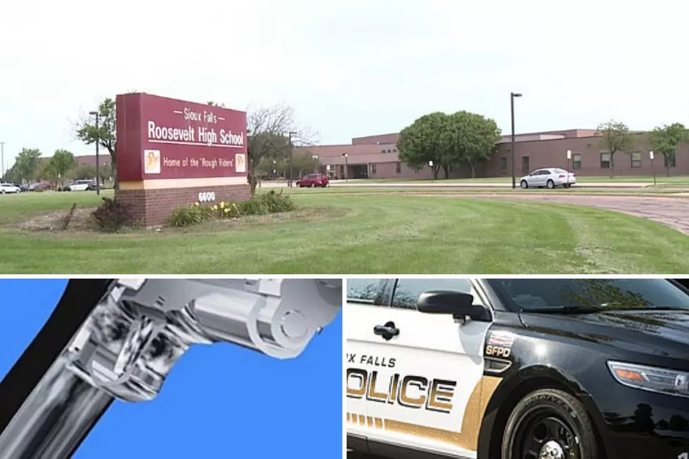 Three Roosevelt Students Charged with Bringing BB Guns to School