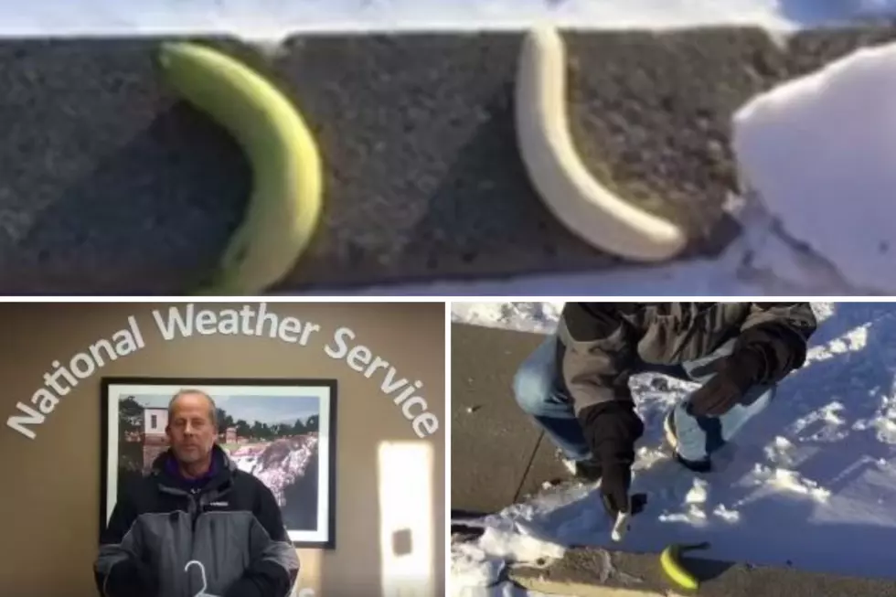 NWS Meterologist Todd Heitkamp Goes Bananas in the Cold!