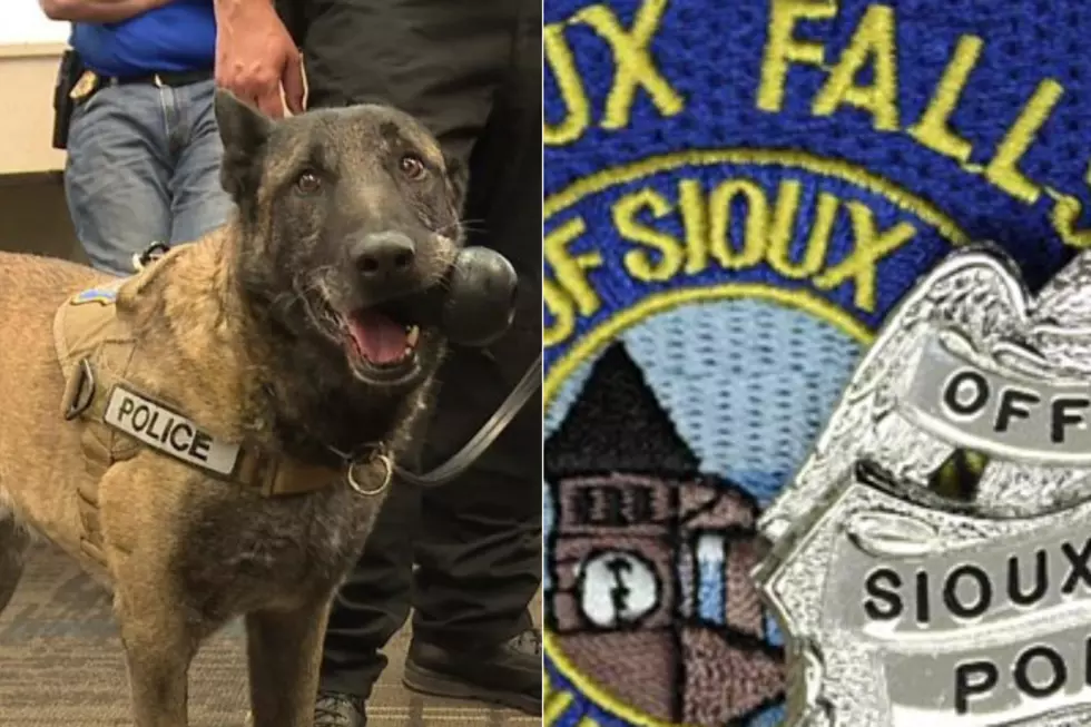 Rio the K9 Sioux Falls Cop Retires