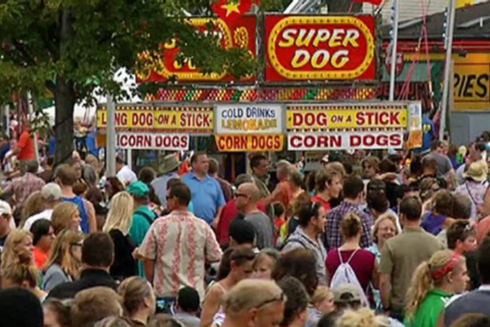 Minnesota State Fair to Begin Using Metal Detectors