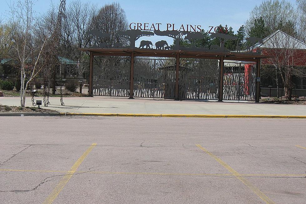The Great Plains Zoo Is Once Again Open to the Public