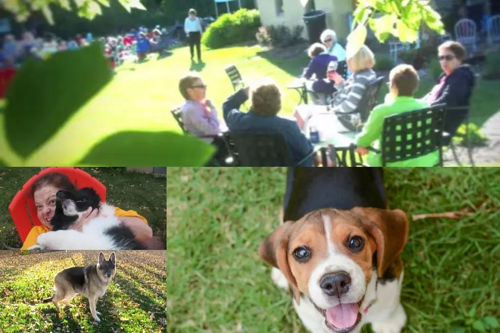 Strawbale Winery’s “Sounds and Hounds” A Howling Good Time