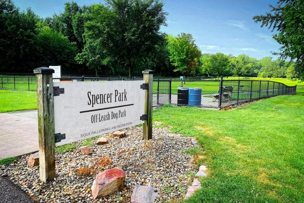 Man Bitten By Dachshund At Sioux Falls Spencer Dog Park