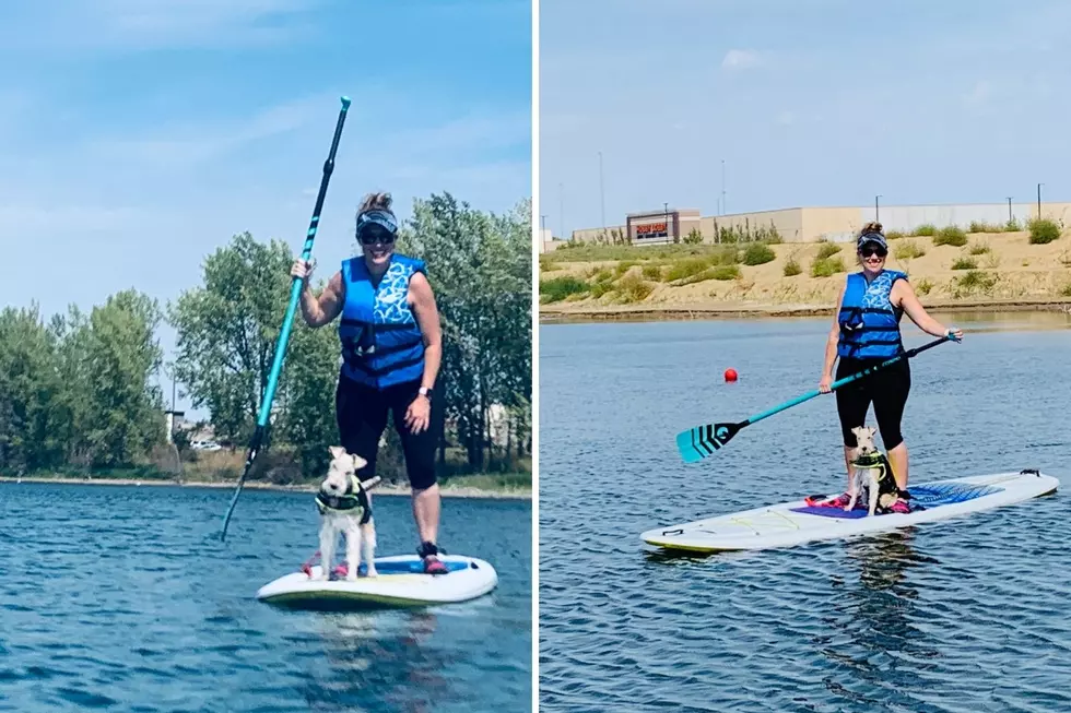 Has Your Pet Gone Paddle Boarding on Lake Lorraine Yet?