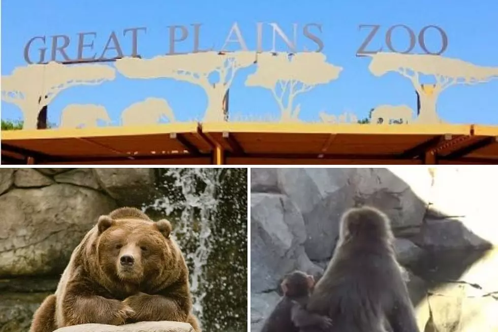 Oh My! Great Plains Zoo Closes For Sioux Falls Blizzard