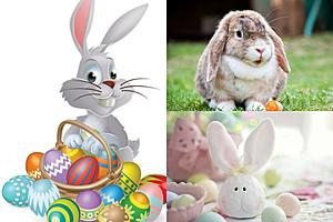 What to Know Before You Visit the Easter Bunny at the Empire Mall