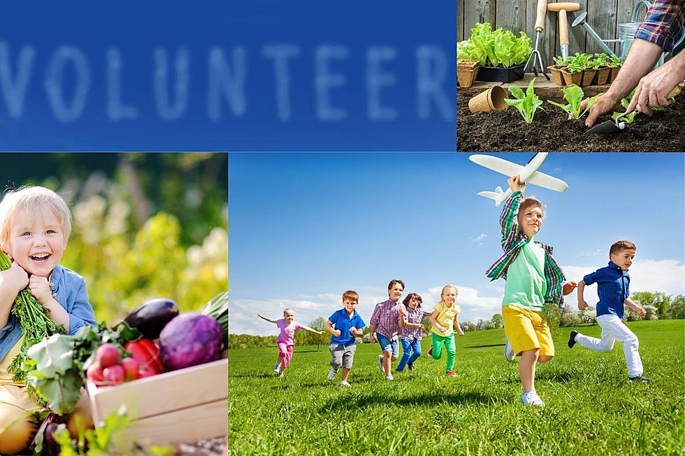 Sioux Falls Helpline Center DIY Kits Bring Spring &#038; Summer Smiles