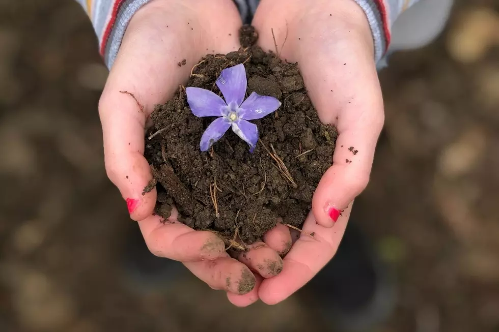 Local Business Offers Mother’s Day Planting Event For Kids